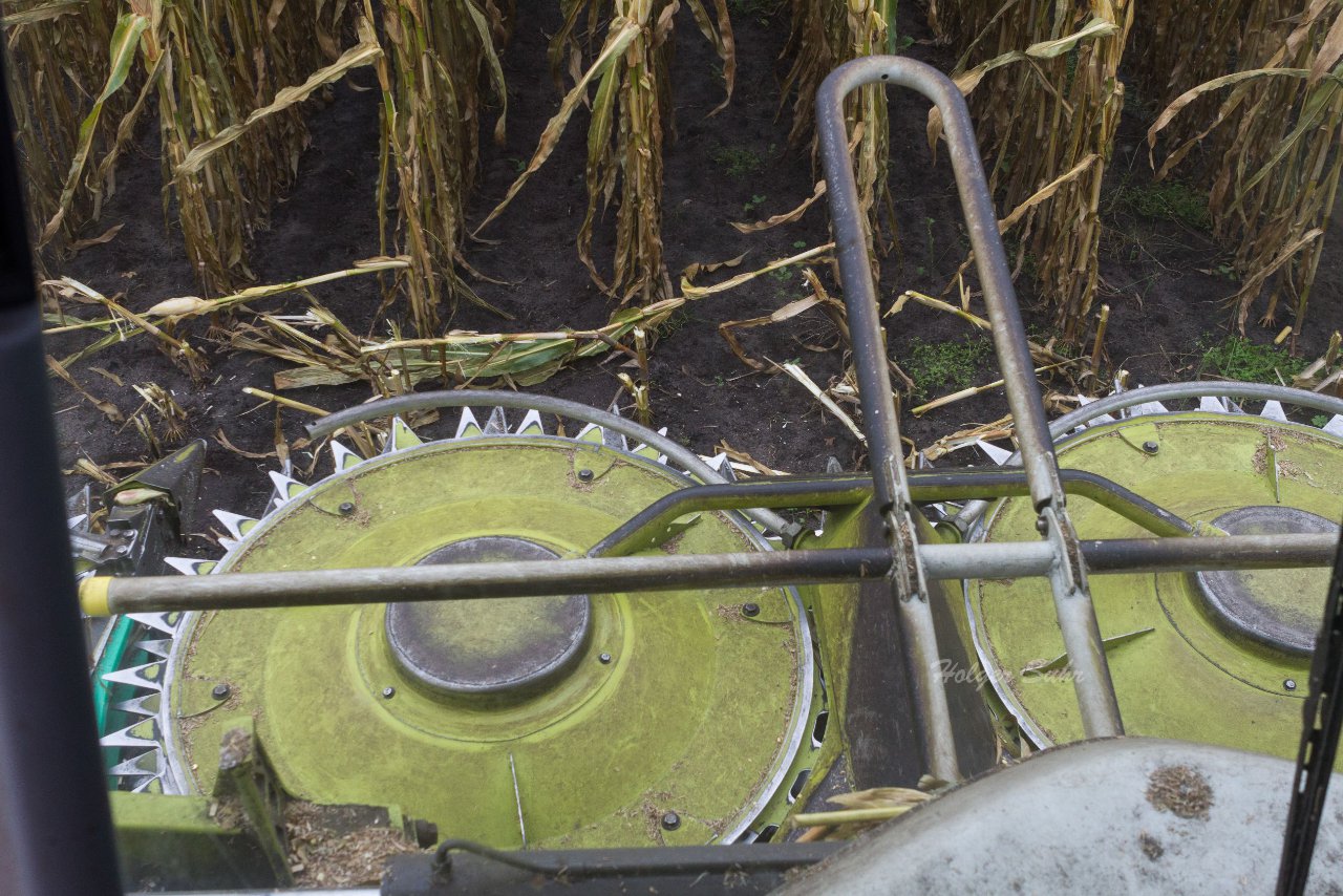 Bild 44 - Maisernte am 22.10.12